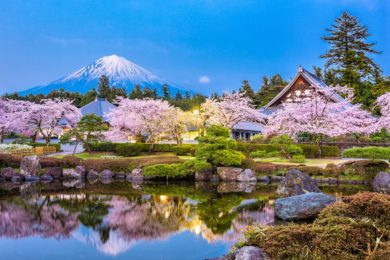 メンズtbcの静岡県 浜松 エリア対応状況まとめ Odd Man